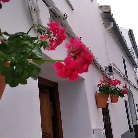 Casa vacanze Nueva Casa Luminosa En Olvera Centro !